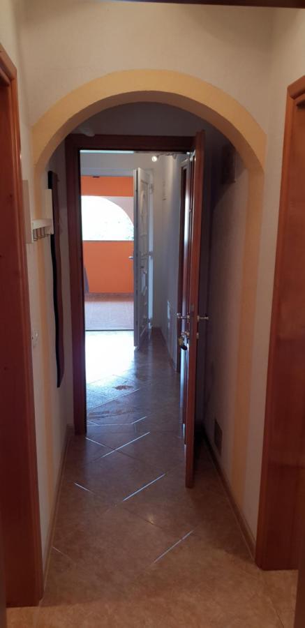Apartmani Citrus Novigrad Filipac Exterior photo
