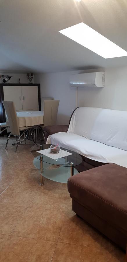 Apartmani Citrus Novigrad Filipac Exterior photo