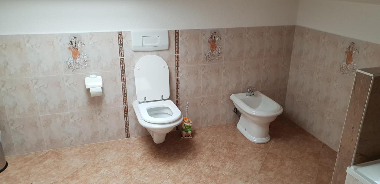 Apartmani Citrus Novigrad Filipac Exterior photo