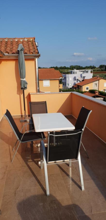 Apartmani Citrus Novigrad Filipac Exterior photo