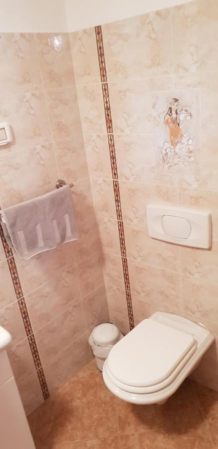 Apartmani Citrus Novigrad Filipac Exterior photo