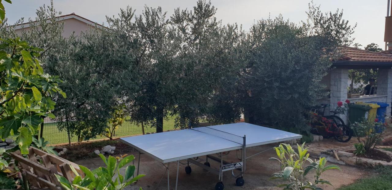 Apartmani Citrus Novigrad Filipac Exterior photo