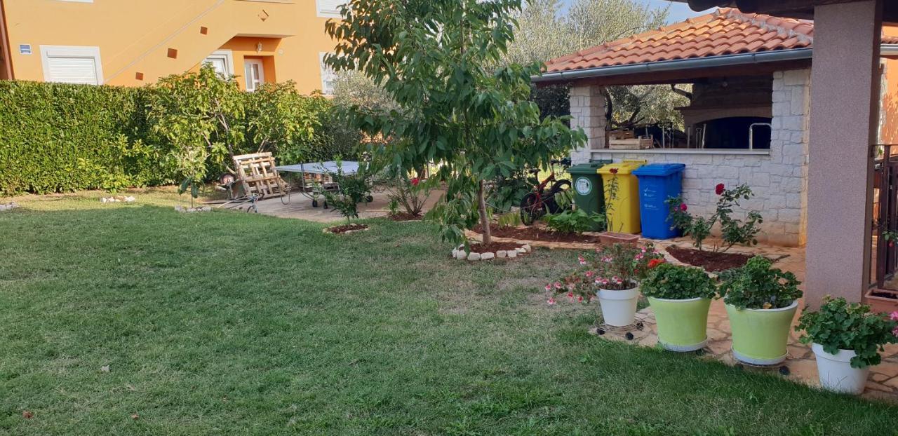 Apartmani Citrus Novigrad Filipac Exterior photo