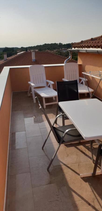 Apartmani Citrus Novigrad Filipac Exterior photo