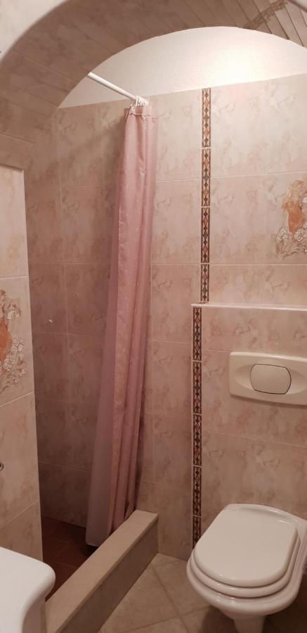 Apartmani Citrus Novigrad Filipac Exterior photo